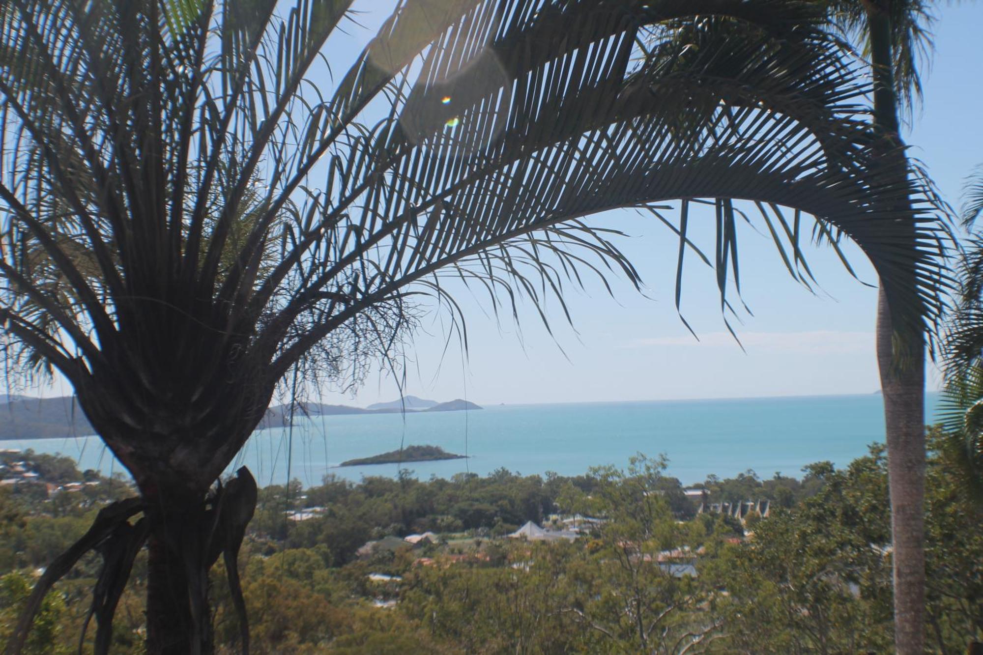 Отель Yachtsmans Paradise, Whitsundays Эйрли-Бич Номер фото